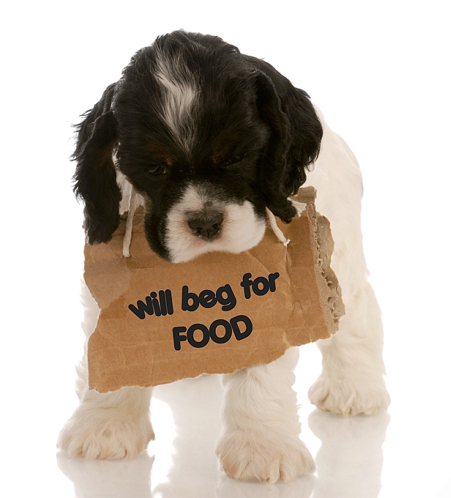 Stop the Begging!