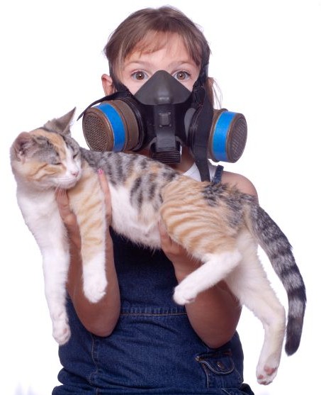 Pet Allergies:  How to Reduce the Effects