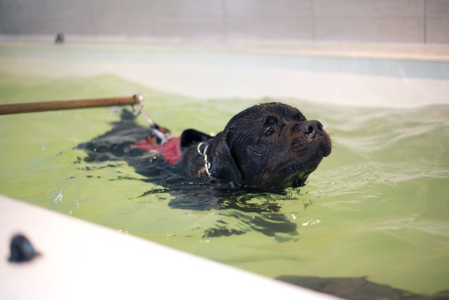 Benefits of Hydrotherapy