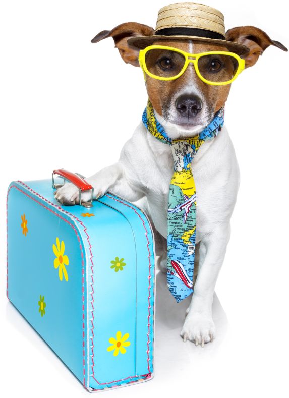 Living the Good Life:  Pet Experiences at High-End Recreation Centers