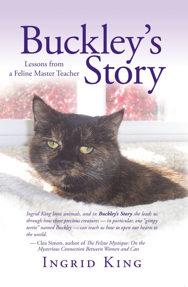 Must-Reads for Cat Lovers