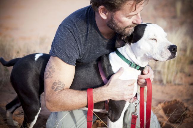 Pit Bulls – Signs to Watch Out For Before Adoption