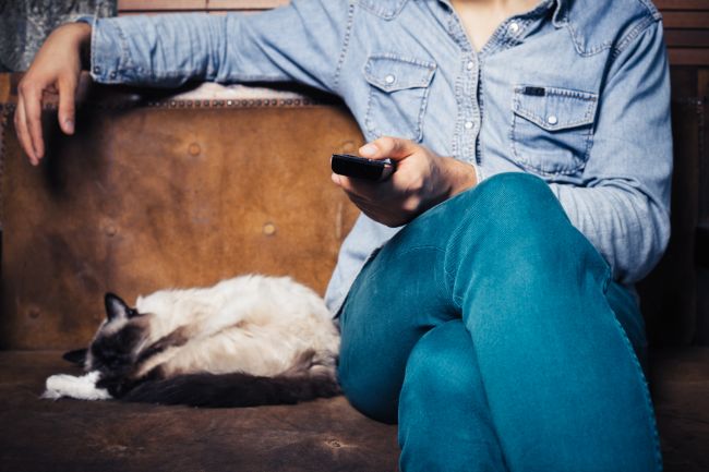 The Best Films About Cats