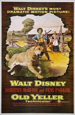 The Best Films About Dogs
