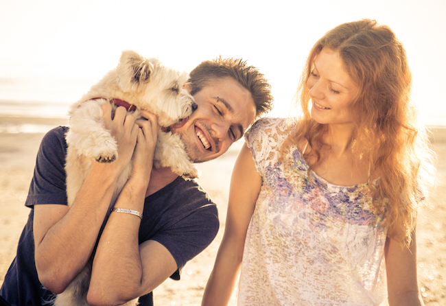 What Couples Can Learn from Dogs