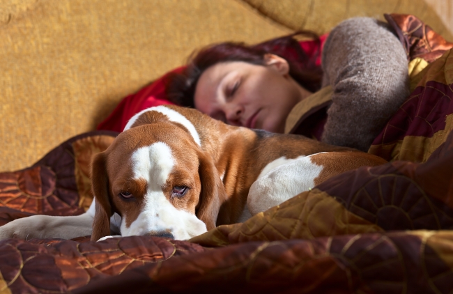 How To Tell If Your Pet Is Your Therapist