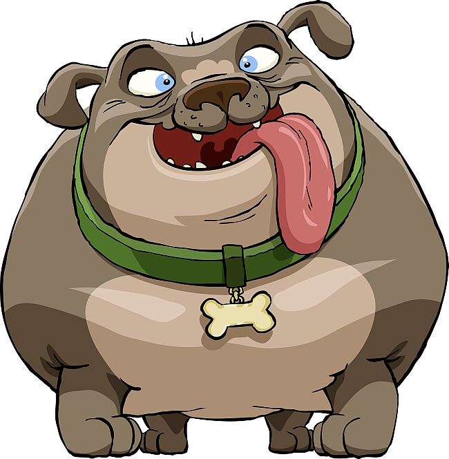 Commonly Overlooked Dog Health Issues