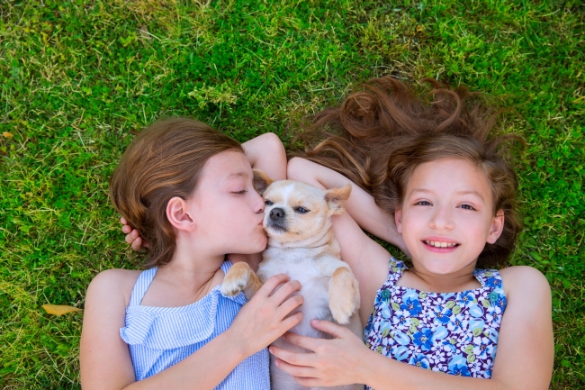 How Pets Aid Child Development